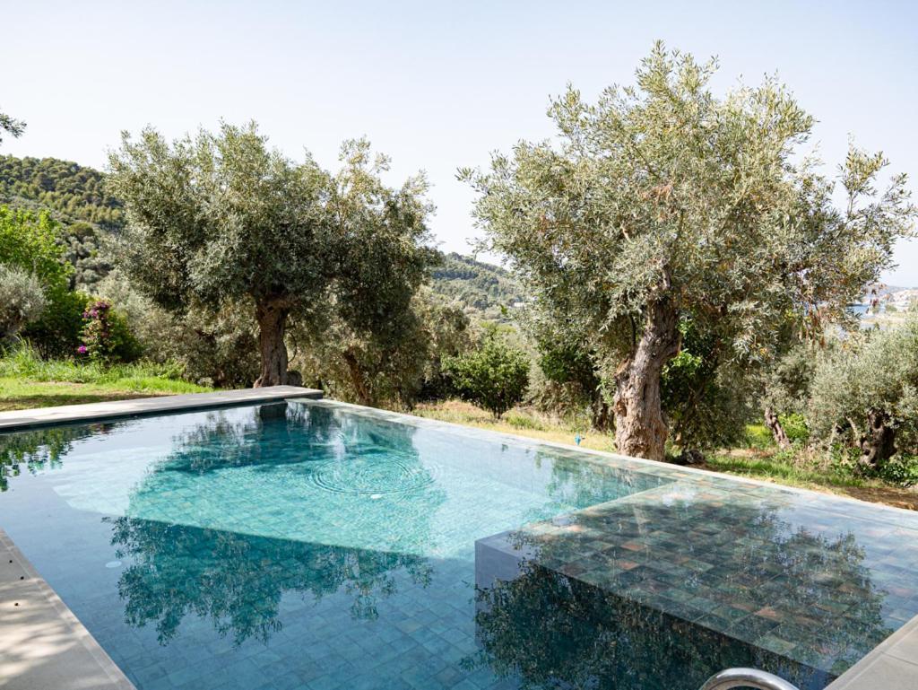 Dohos Skiathos Suites Ksanemos Екстериор снимка