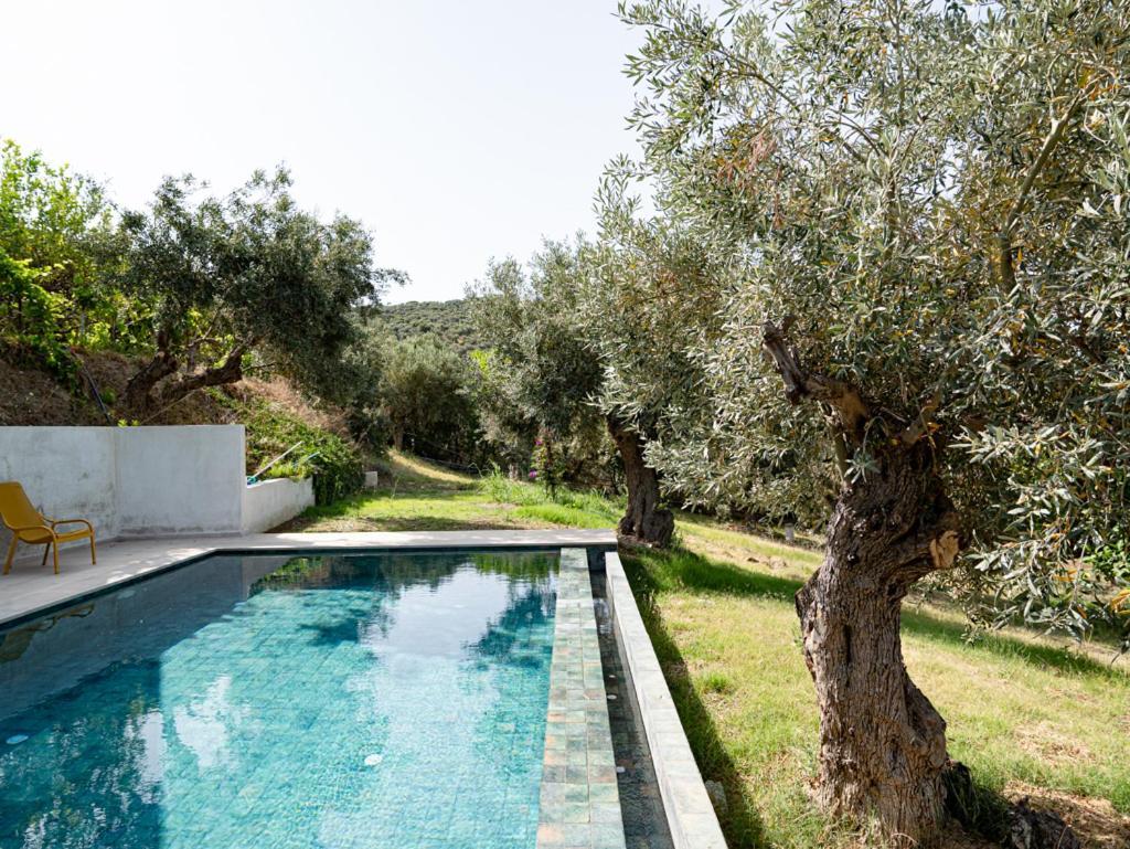 Dohos Skiathos Suites Ksanemos Екстериор снимка